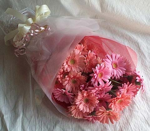 Ankara ankaya iek gnderimi site rnmz 13 adet gerbera iek buketi