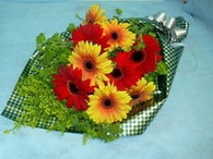 Ankara ankaya ieki dkkanmzdan Kark gerbera iekleri buketi