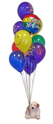 Ankara ankaya ieki den 13 adet balon ve kk pelu ayck