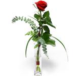 Ankara ankaya iek siparii sitemizin grsel rn Camda sadece tek krmz gl Ankara iek gnder firmas ahane rnmz