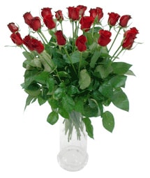 Ankara ankaya iek gnder firmamzdan grsel rn cam ierisinde grsel gller Ankara iek gnder firmas ahane rnmz