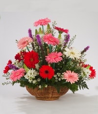 Ankara ankaya Yenimahalle ieki firma rnmz Kark Gerbera mevsim sepeti iei Ankara iek gnder firmas ahane rnmz